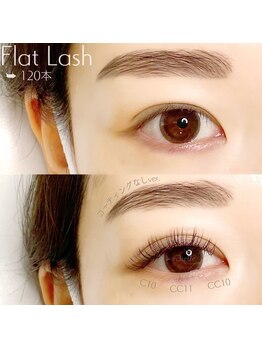 エシェル(e'chelle)/フラットラッシュ120本