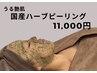 うる艶肌♪国産ハーブピーリング【陶肌トリートメント】 １１,０００