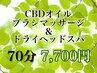 【オプション付】ドライヘッドスパ+CBDオイルブラシマッサージ【70分¥7700】