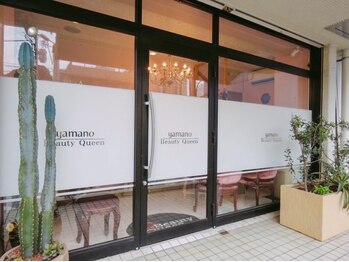 ビューティークイーン(Beauty Queen)/大きさサボテンが目印