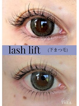 シーア ボーテ アイラッシュ(THEA beaute eyelash)/ラッシュリフト【下まつ毛】