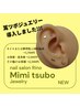 耳ツボジュエリー　2500円→2000円