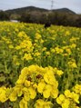 ロンガール(Longgar)&nbsp;菜の花まつり行ってきました♪