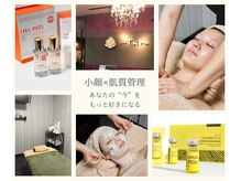 フロックス(Phlox)