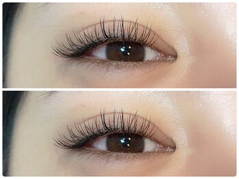 フェリーチェ(FELICE)/フラットラッシュ140本