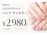 【勉強価格】【ハンド】ワンカラー¥2980-