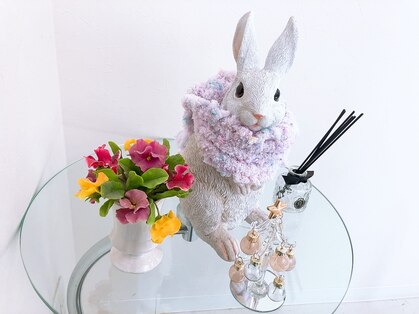 パープルラビット(purplerabbit)の写真