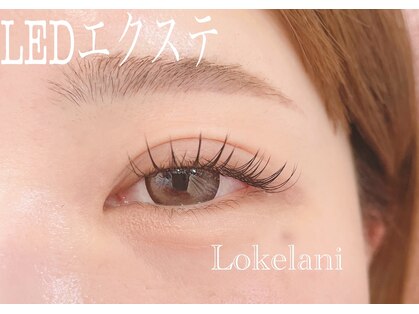 ロケラニ(Lokelani)の写真