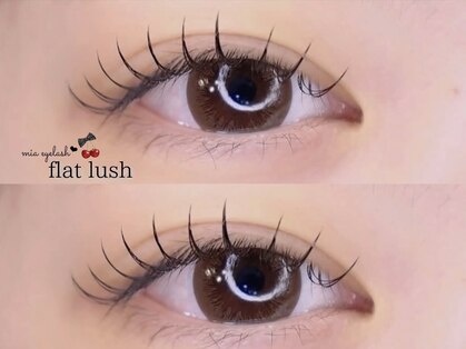 ミア 学芸大学(mia)の写真