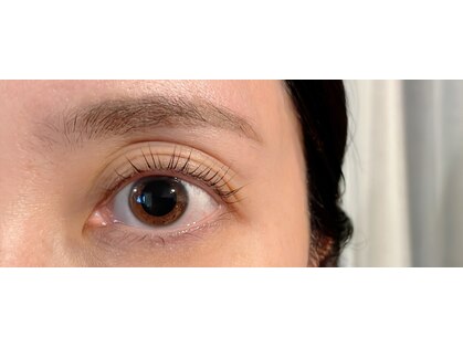 ユリカゴ(Yurikago)の写真