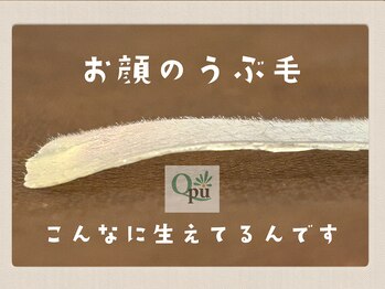 キュープ 下北沢店(Qpu)/フェイシャルWAX