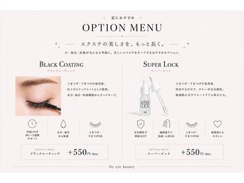 フィズ アイ ビューティー 豊橋牛川店(fiz eye beauty)/マツエク｜人気オプション
