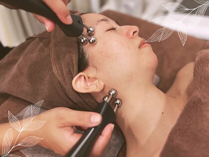 リアン(Lien)の写真