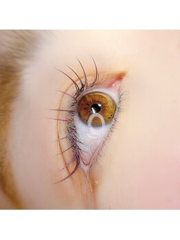 ペタル(petale)/カラーフラット160本