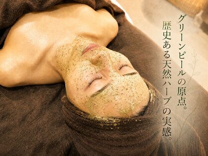 マグノリア(Magnolia)の写真