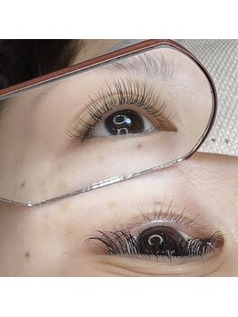 ナッティ(natti)/フラットラッシュ120本