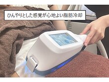 メロウ ヘア エスト2006(MELLOW HAIR EST2006)/脂肪冷却