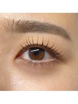 ラヴィータエベッラ(La Vita e Bella)/立ち上げカール