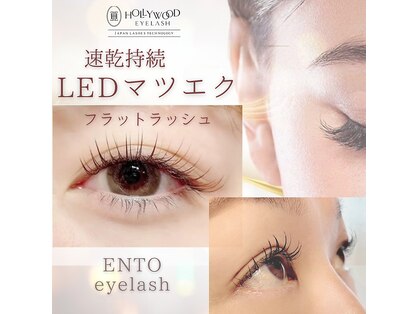 エント(Ento)の写真