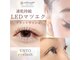エント(Ento)の写真
