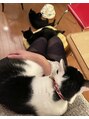 心斎橋 ルヴィ(REVI) 猫は大事な家族。お家時間はみんなでまったり過ごしています。