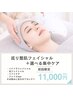 巡り整肌フェイシャル+選べる集中ケア 75分 ¥11,000