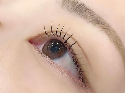 ノア(noa)の写真