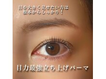 アトリエ ハルミナ(atelier harumina)/まつ毛パーマ/ラッシュリフト