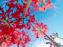 リラクゼーション整体 りめいくの雰囲気（「横向きの施術」首～肩甲骨～腰を念入りにほぐします。）