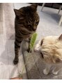 リリー(LILY)&nbsp;自宅で猫二匹飼ってます♪