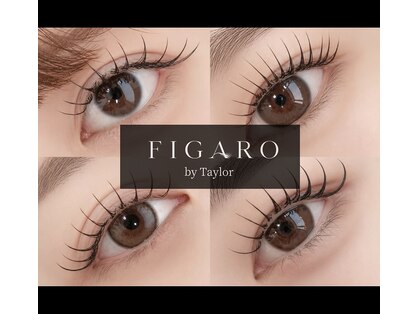 フィガロ バイ テイラー(FIGARO by Taylor)の写真