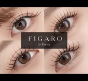 フィガロ バイ テイラー(FIGARO by Taylor)