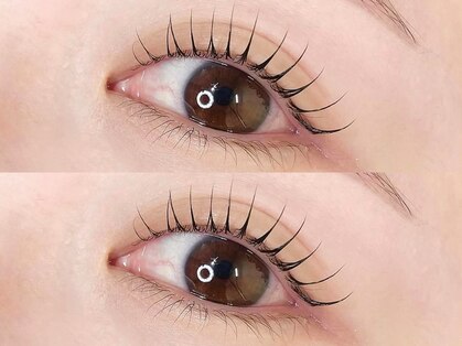 ヌルク(nuluk)の写真