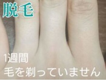 レディース ビホウ(BIHOU)/