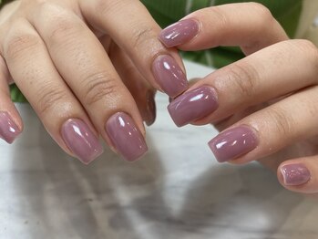 シュテルン(STERN)/ワンカラー