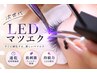 ハロウィン企画★平日限定★LEDエクステ100本高級フラットラッシュ￥5500