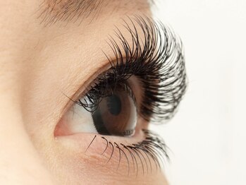 ブレス 天童店(BLESS)/Dカール