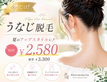 アルストロメリア(Alstroemeria)