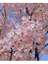 リラクゼーション 櫻&nbsp;ミ 