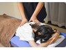 【担当門村】【つらい腰痛もう限界!】しぶとい腰痛特化 本格整体60分7,200円