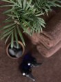サロン ポノ(pono)&nbsp;癒されるのもすき♪オフの日は癒し巡りで自分にご褒美..♪