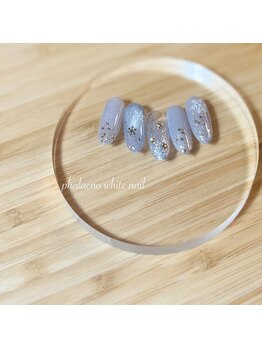 ファレノホワイト/定額ネイルデザイン/　冬