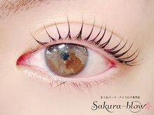 まつげパーマ・眉毛・アイブロウ専門店　Sakura-blow 博多駅前店【まつ毛パーマ】/まつげパーマ［博多マツパ眉毛］