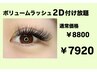 ボリュームラッシュ☆2D付け放題！！７９２０円