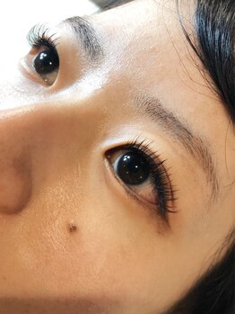 アイラッシュアンドコー(eyelash&co.)/フラットセーブル140本