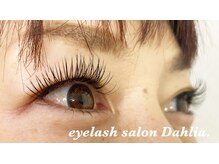 ダリア(Dahlia.)/オフなしバインド80束