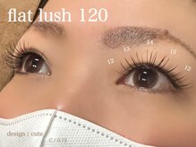 BBG/フラット120本