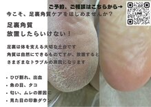 ロンディネ(Rondine)