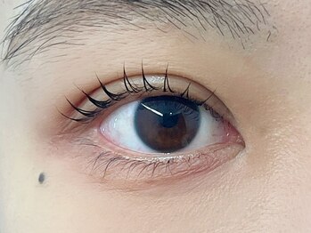 ローランリム(LORAN Lim)/立ち上げカール