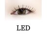 【圧倒的モチ◎】LEDマツエク 付け放題